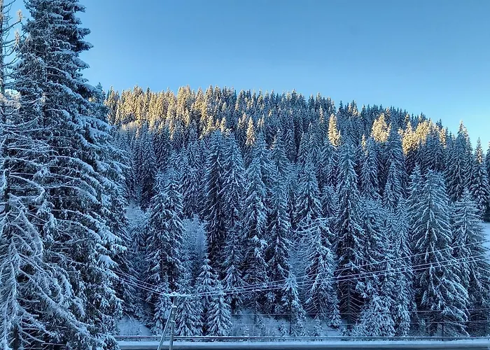 Дрім ХаусГотель